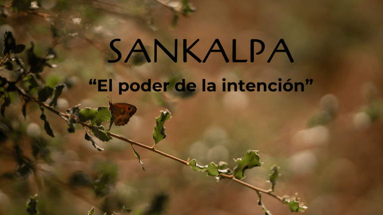SANKALPa, 15 al 17 noviembre