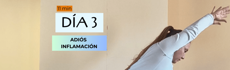 DIA 3 : ADIÓS A LA INFLAMACIÓN