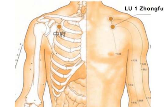 meridianos de los pulmones