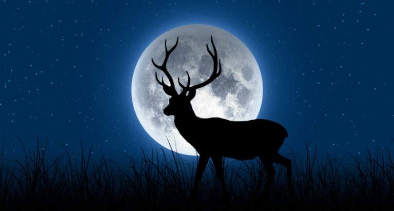 oráculo de la luna creciente