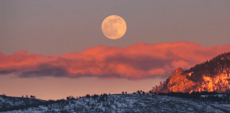 el sueño de la luna nueva