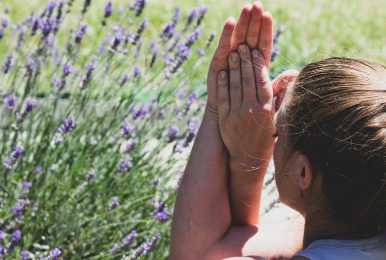 dia 17 : ahimsa